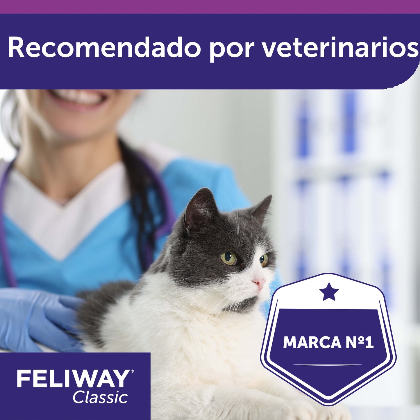 Antiestrés para gatos - FELIWAY Classic