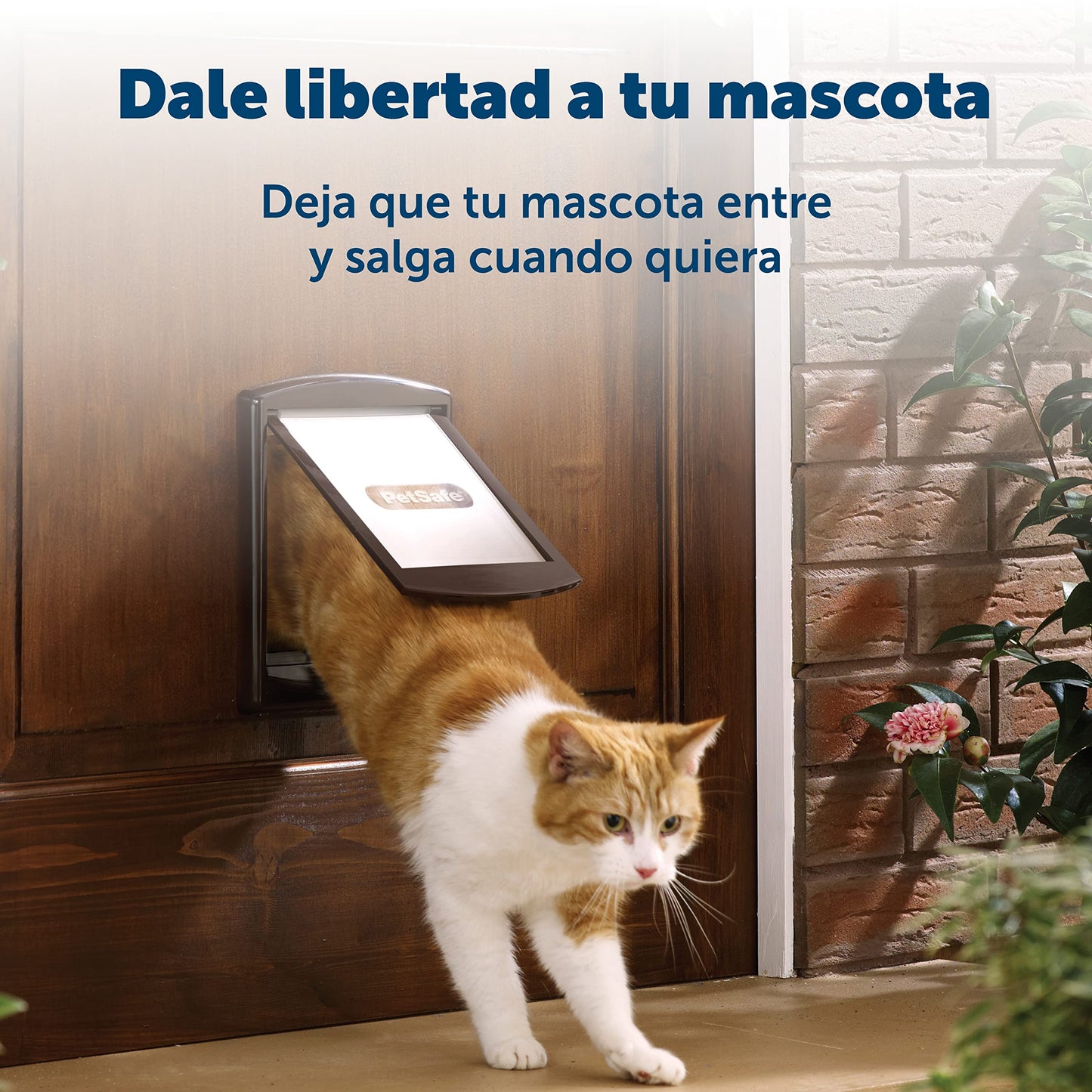 Puerta gatera con 2 posiciones _Staywell Original - PETSAFE